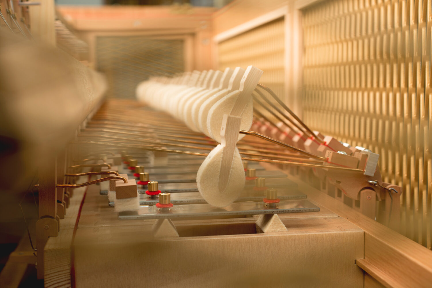 Editorial-Shooting mit natürlichem Licht – Tom Bässler Fotografie