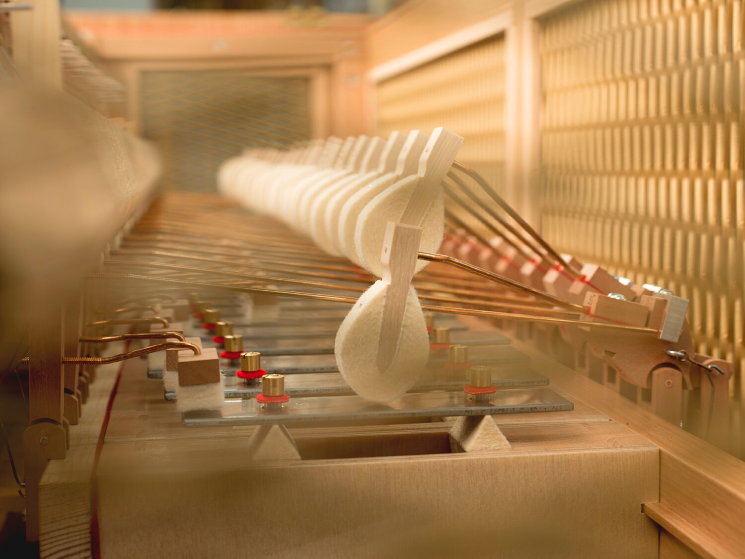 Editorial-Shooting mit natürlichem Licht – Tom Bässler Fotografie