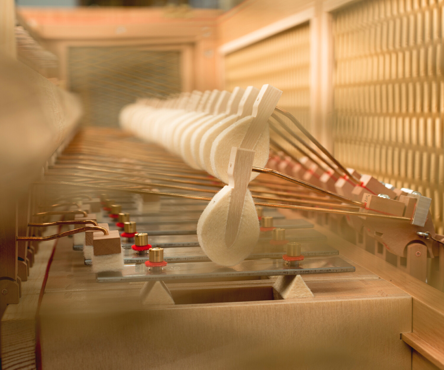 Editorial-Shooting mit natürlichem Licht – Tom Bässler Fotografie