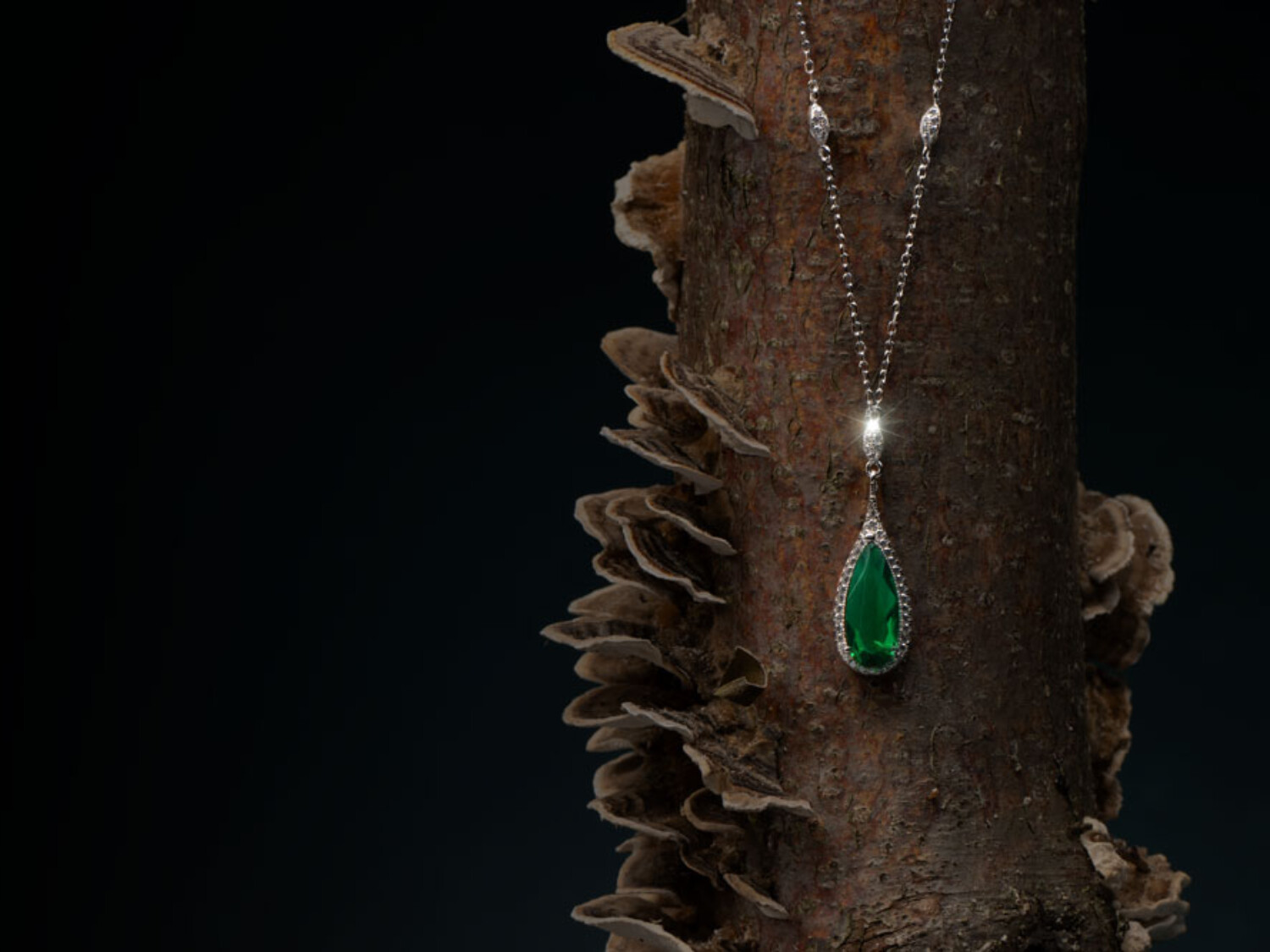 Produktfotografie Schmuck